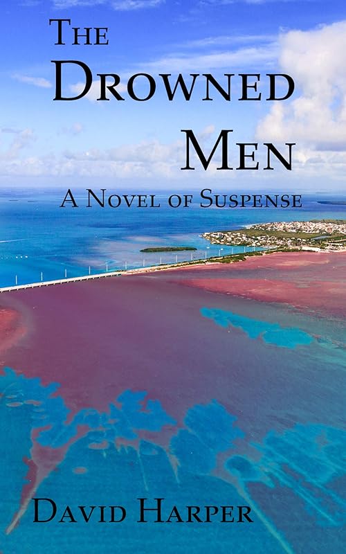 The Drowned Men: A Novel of Suspense by David Harper