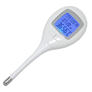 Afficher l'image d'origine