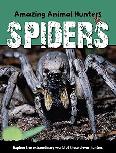 Spiders (Amazing Animal Hunters)