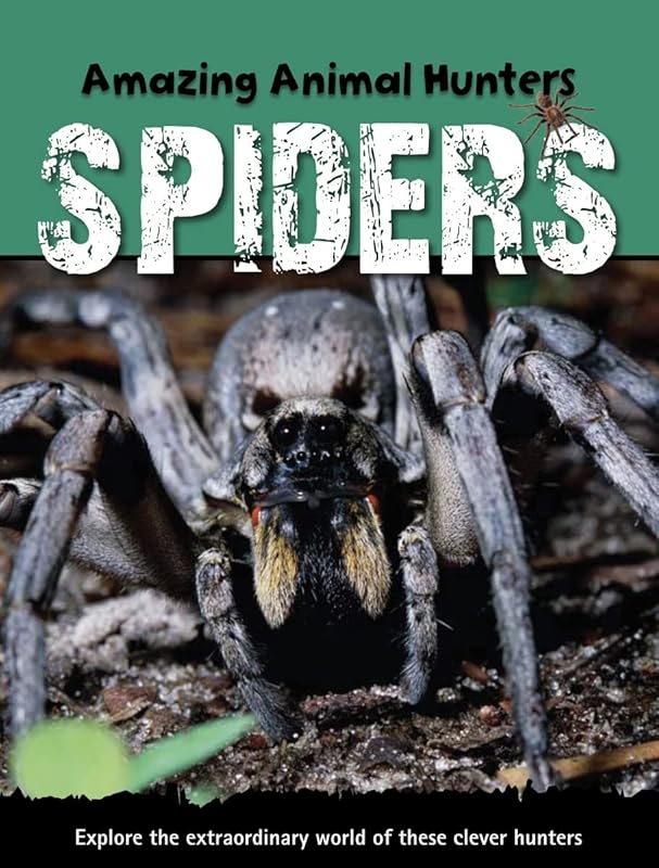 Spiders (Amazing Animal Hunters) by Sally Morgan