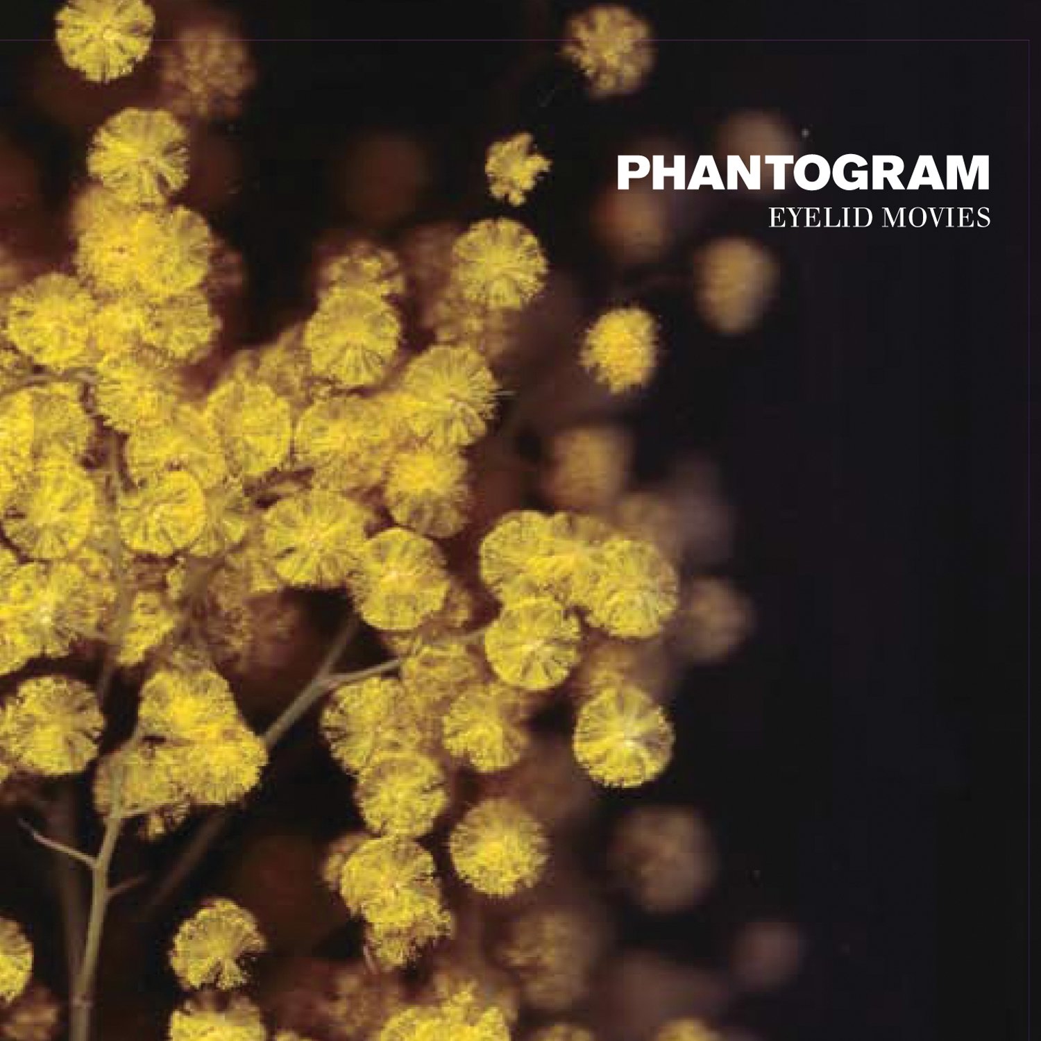 PHANTOGRAM : Eyelid Movies