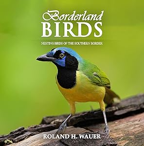Borderland Birds: Nesting Birds of the Southern Border