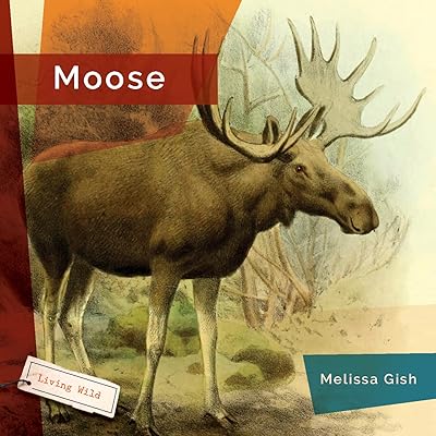 Moose (Living Wild)