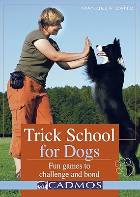 Trick School for Dogs: Fun Games to Challenge and Bond