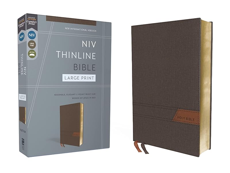 NIV, Thinline Bible, Large Print, Cloth Flexcover, Gray, Red Letter, Comfort Print by Zondervan