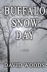 Buffalo Snow Day