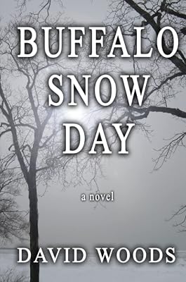 Buffalo Snow Day