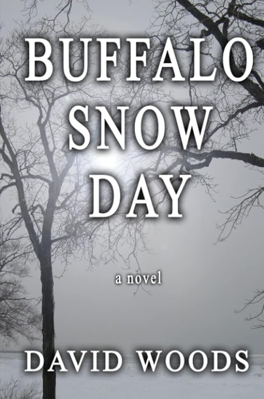Buffalo Snow Day by David Woods
