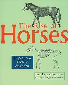 The Rise of Horses: 55 Million Years of Evolution by Jens Lorenz Franzen