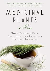 Medicinal Plants at Home: More Than 100 Easy, Practical, and Efficient Natural Remedies by María Tránsito López Luengo
