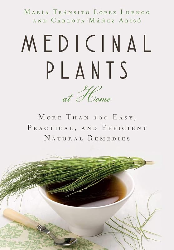 Medicinal Plants at Home: More Than 100 Easy, Practical, and Efficient Natural Remedies by María Tránsito López Luengo