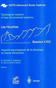 Aspects topologiques de la physique en basse dimension. Topological aspects of low dimensional systems (Les Houches - Ecole d'Ete de Physique Theorique, 69)
