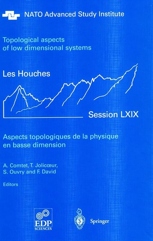 Aspects topologiques de la physique en basse dimension. Topological aspects of low dimensional systems (Les Houches - Ecole d'Ete de Physique Theorique, 69) by Collectif