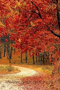 Follow Your Own Path Dot Journal