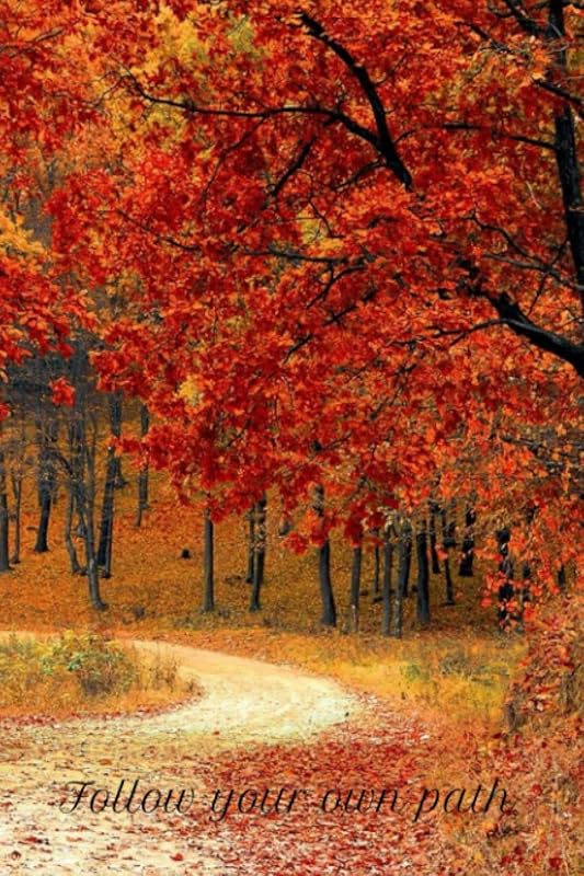 Follow Your Own Path Dot Journal by Christine Chamillard