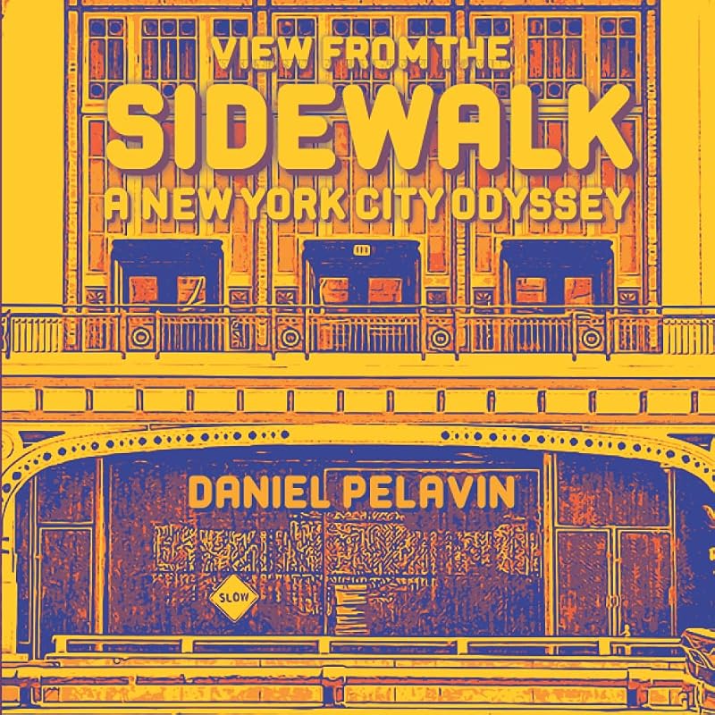 View from the Sidewalk: A New York City Odyssey by Daniel Pelavin