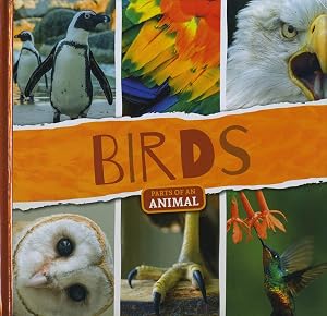 Birds (Parts of an Animal)