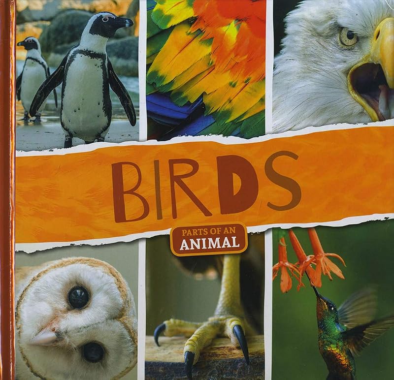 Birds (Parts of an Animal) by Joanna Brundle