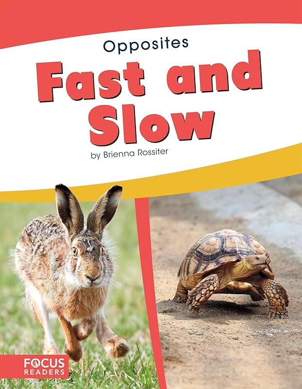 Fast and Slow (Opposites (Set of 10)) by Brienna Rossiter
