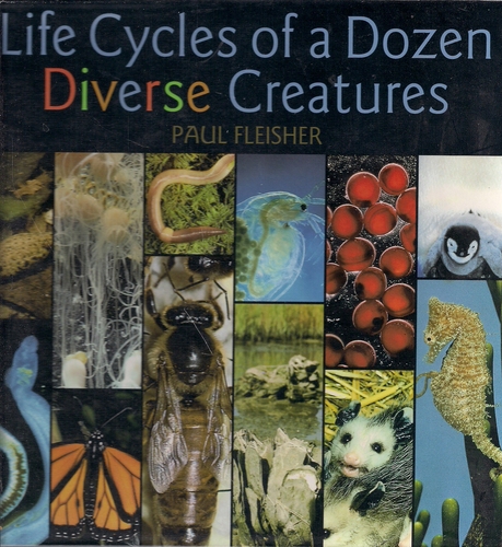 Life Cycles/Diverse Creatures by Paul Fleisher