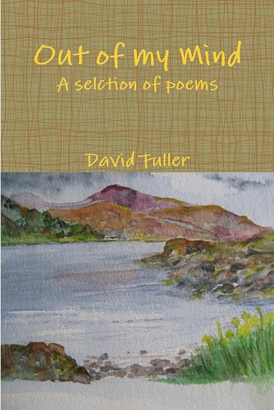 Out of my Mind by David Fuller