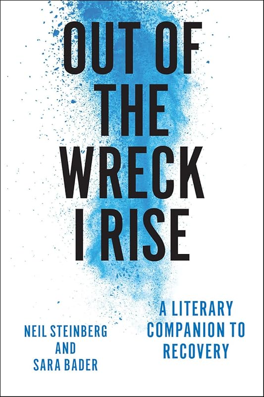 Out of the Wreck I Rise: A Literary Companion to Recovery by Neil Steinberg