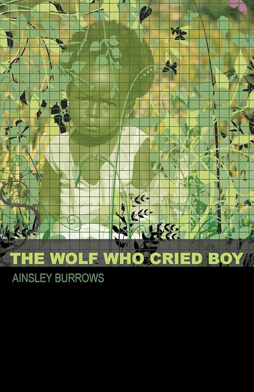 The Wolf Who Cried Boy by Ainsley Burrows