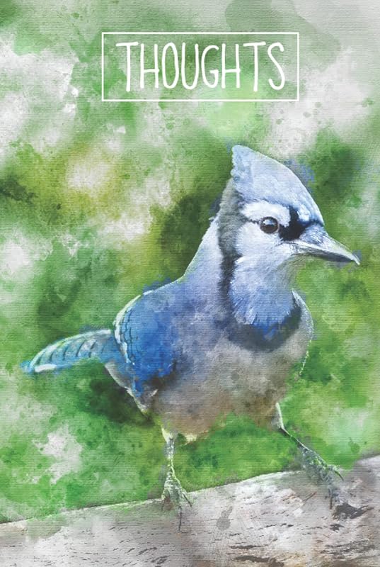 Thoughts: Hard cover Lined 6”x9” journal with a beautiful watercolor Blue Jay and is perfect to jot down your thoughts and ponderings. by Cheryl Johnson