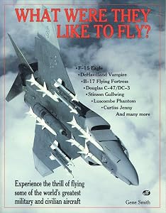 What Were They Like to Fly? by Murlin Gene Smith