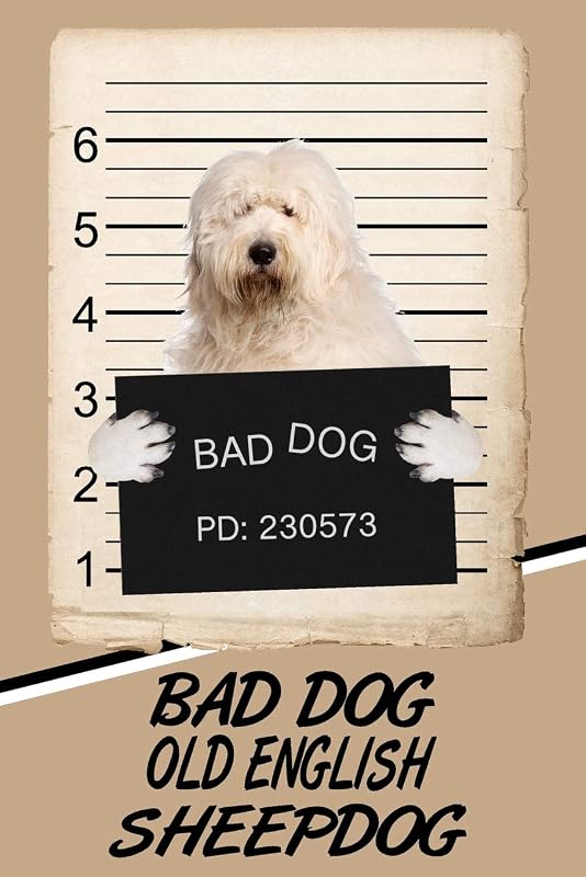 Bad Dog Old English Sheepdog: Blank Cookbook Recipes & Notes featuring 120 pages 6"x9" by Rob Cole