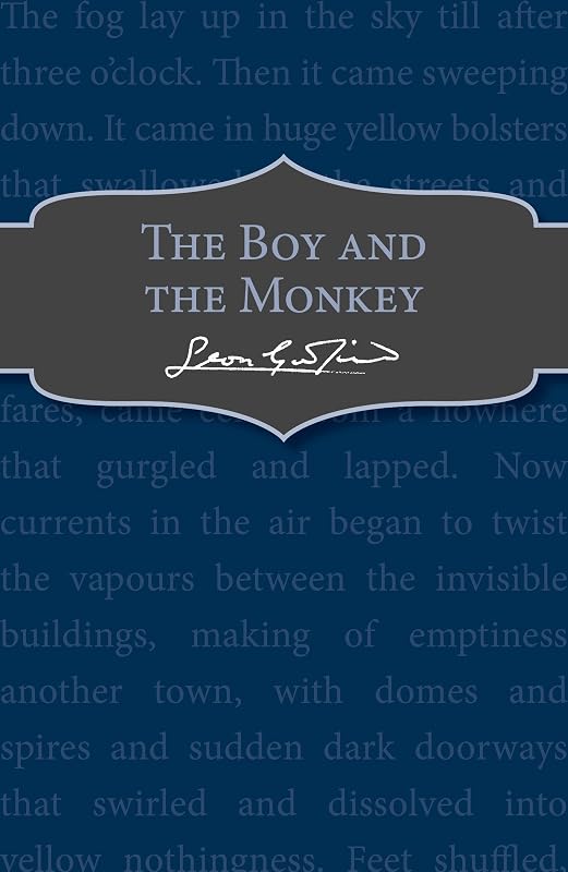 The Boy and the Monkey by Leon Garfield