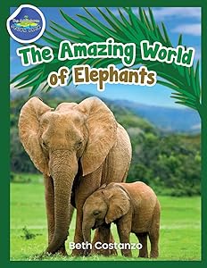 Elephants Activity Workbook for Kids ages 4-8!