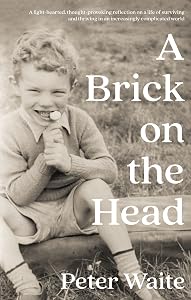 A Brick on the Head by Peter Waite