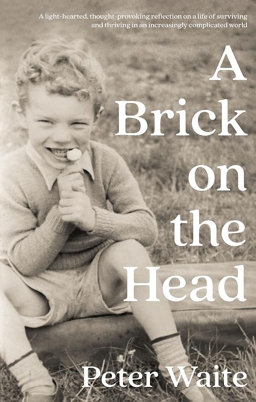 A Brick on the Head by Peter Waite