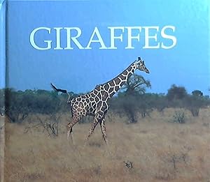 Giraffes