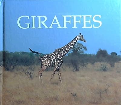 Giraffes