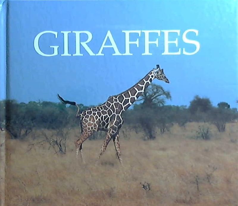 Giraffes by Jenny Markert