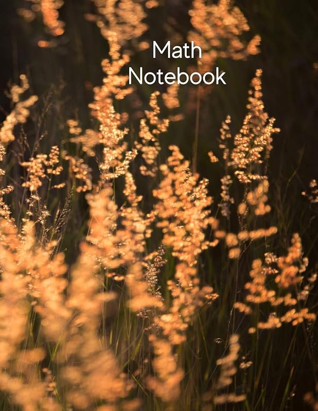 Math Notebook: 120 pages, math notebook, quad ruled workbook, 8.5 x 11 inch large soft cover journal, 5 squares per inch suited for kids and students by Jed Nash
