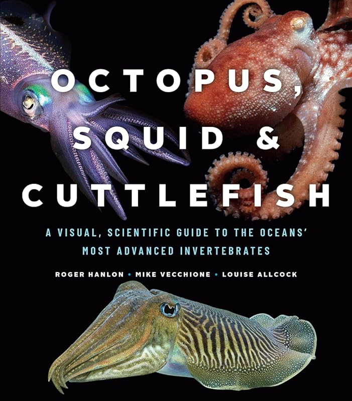 Octopus, Squid, and Cuttlefish: A Visual, Scientific Guide to the Oceans’ Most Advanced Invertebrates by Roger Hanlon