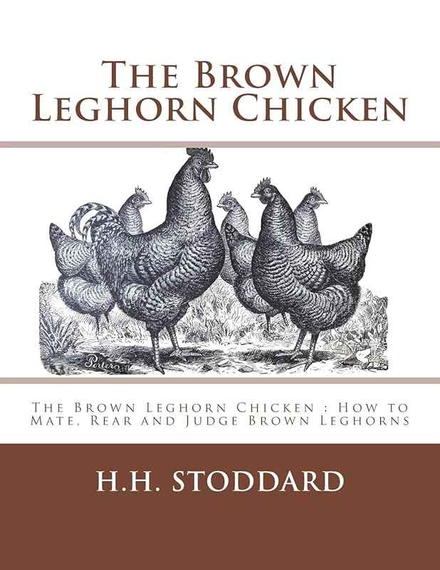 The Brown Leghorn Chicken: The Brown Leghorn Chicken : How to Mate, Rear and Judge Brown Leghorns by H Hudson Stoddard