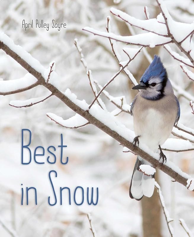 Best in Snow (Weather Walks) by April Pulley Sayre