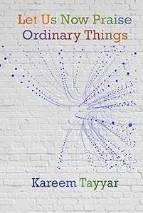 Let Us Now Praise Ordinary Things by Kareem Tayyar