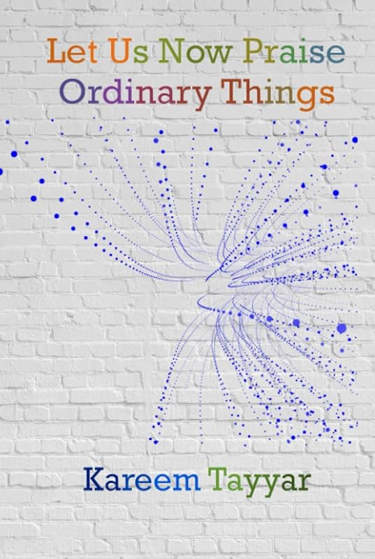 Let Us Now Praise Ordinary Things by Kareem Tayyar