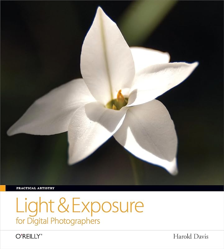 Practical Artistry: Light & Exposure for Digital Photographers by Harold Davis
