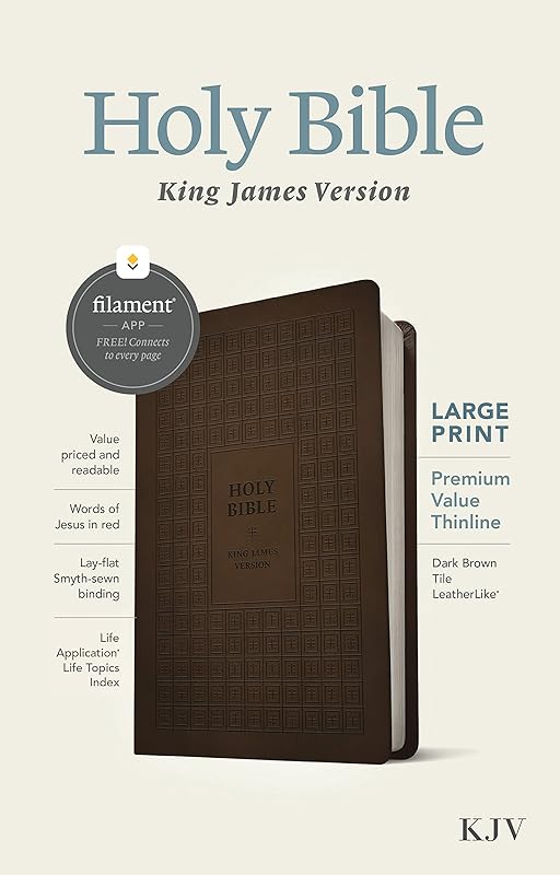KJV Large Print Premium Value Thinline Bible, Filament Enabled (LeatherLike, Dark Brown Tile, Red Letter) by Tyndale