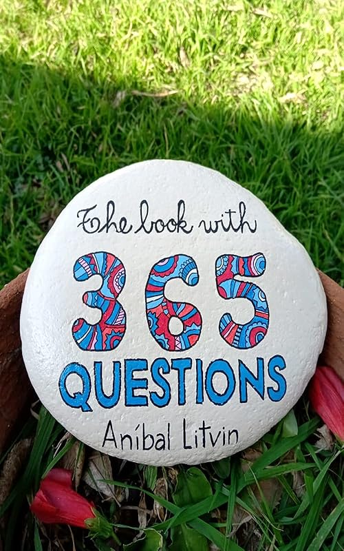 The Book with 365 Questions: An invitation to think about your life by Anibal Litvin