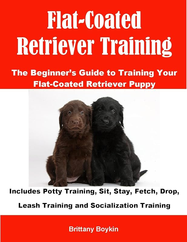 Flat-Coated Retriever Training: The Beginner’s Guide to Training Your Flat-Coated Retriever Puppy: Includes Potty Training, Sit, Stay, Fetch, Drop, Leash Training and Socialization Training by Brittany Boykin