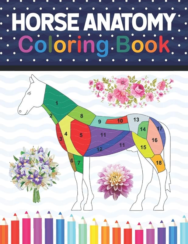 Horse Anatomy Coloring Book: Veterinary Physiology Animals Workbook and Coloring.Perfect gift For Vet Students and even Adults.handbook of veterinary ... Anatomy & Physiology Coloring book. by Samniczell Publication