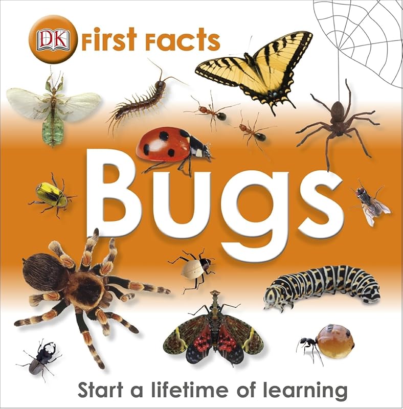 First Facts: Bugs: Start a Lifetime of Learning by Various