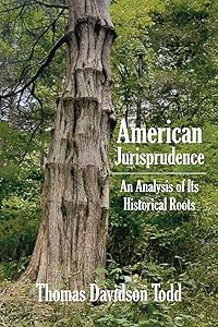 American Jurisprudence: An Analysis of Its Historical Roots by Thomas Davidson Todd